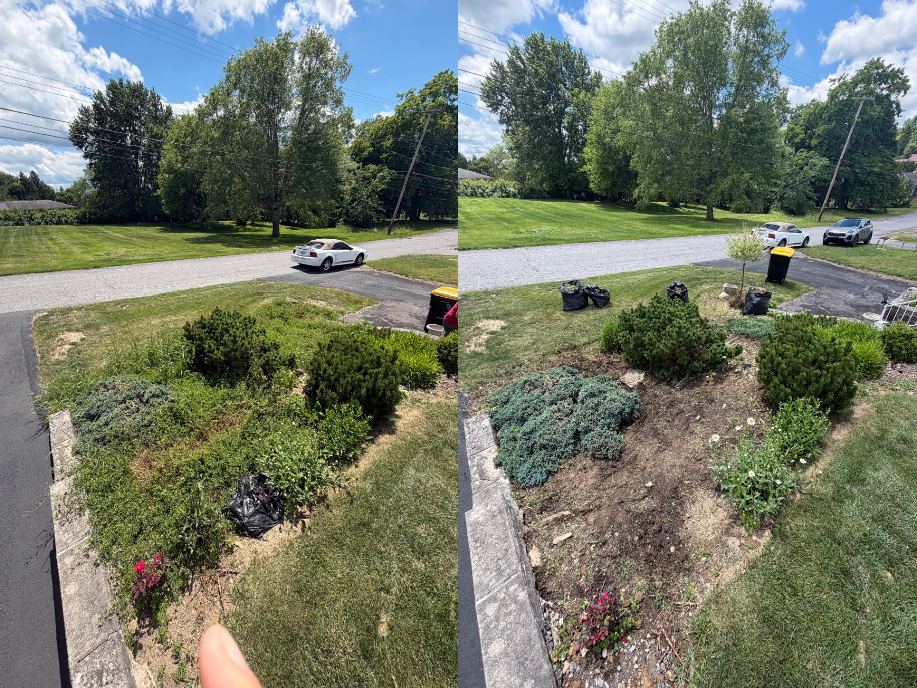 D & J's Lawn Care job 1